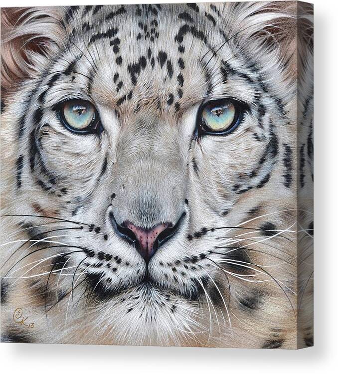 12"x16" Softness of a Stare Snow Leopard Paintings HD Print on Canvas Home Decor 