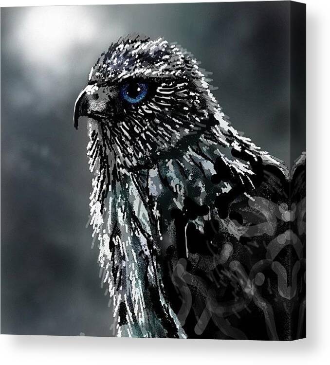 Cute Canvas Print featuring the photograph #falconds2 #falcon #drawsomething by David Burles