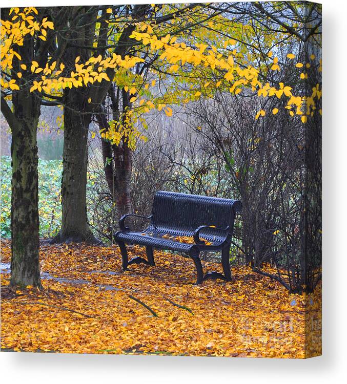 Fall Canvas Print featuring the photograph Fall Bench by Kirt Tisdale
