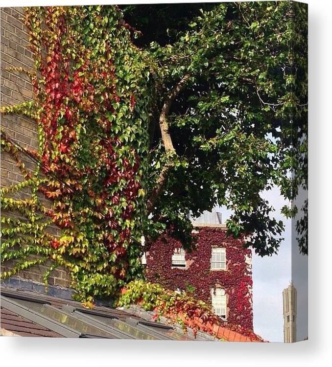 Fall Canvas Print featuring the photograph Fall Colors In Dublin by Lorraine Sambo