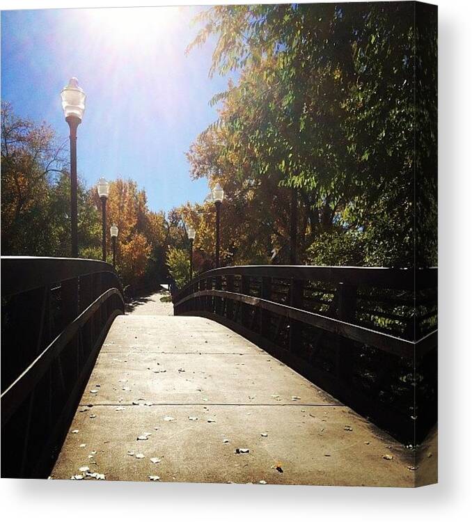 Colorado Canvas Print featuring the photograph #fall In #colorado by Amberly Rose