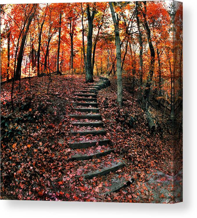 Fall Leaves Canvas Print featuring the photograph Fall Leaves at Wildcat Den by Jamieson Brown