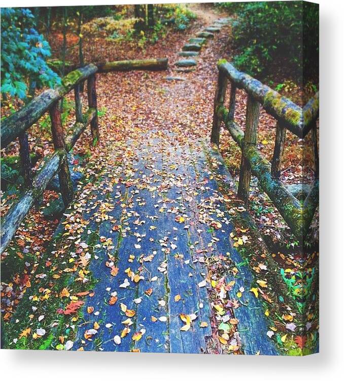 Asheville Canvas Print featuring the photograph Fall Bridge by Simon Nauert