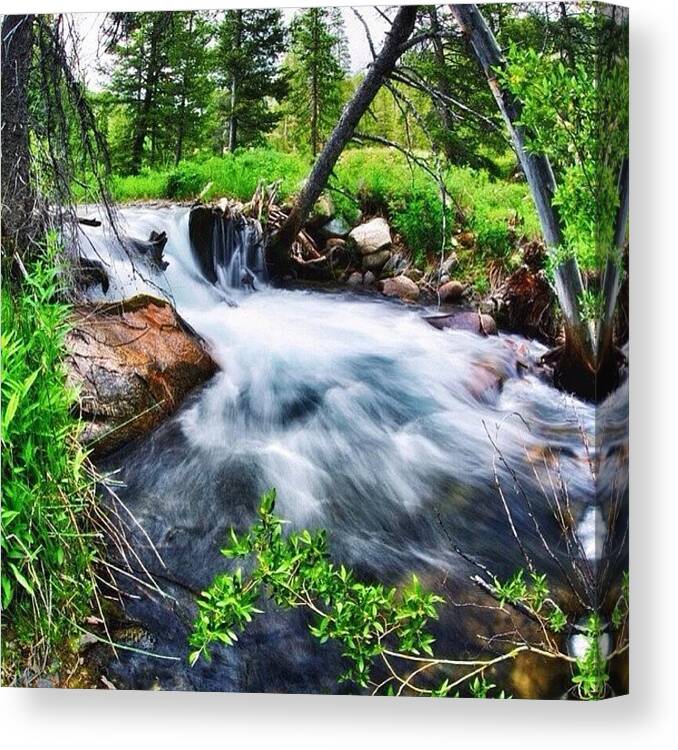 Exploring Canvas Print featuring the photograph Feeling That #flow #exploring #wild by Cody Haskell