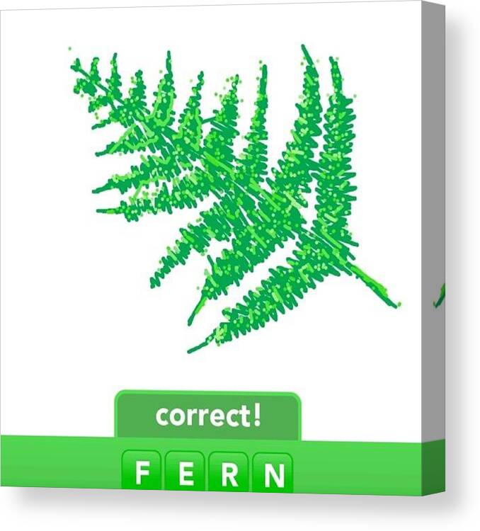 Draw Canvas Print featuring the photograph #fern #fernds #drawsomething by Michelle Cronin