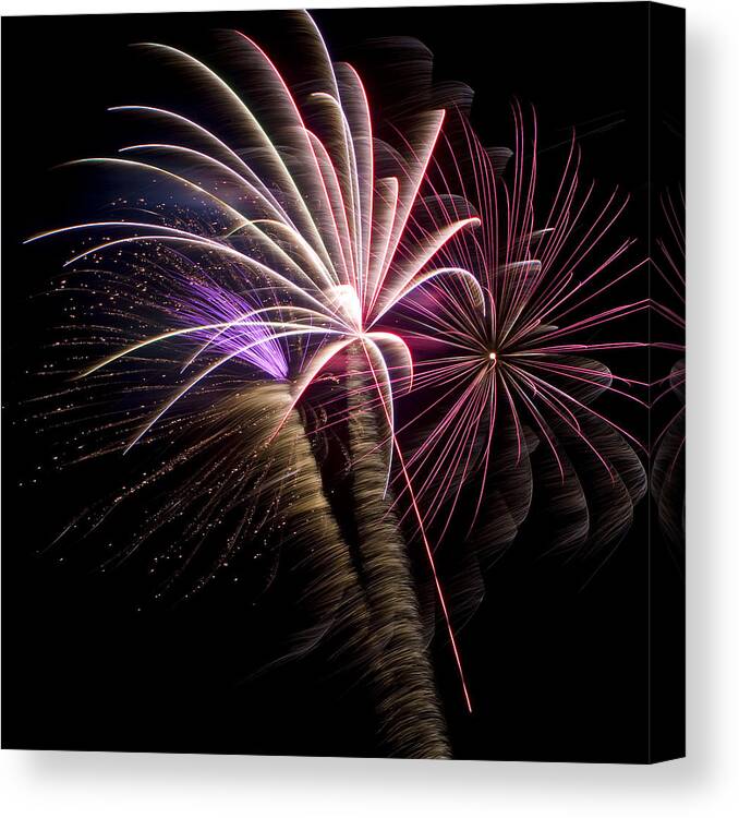 4th Of July Canvas Print featuring the photograph Fireworks 19 by Sandy Swanson