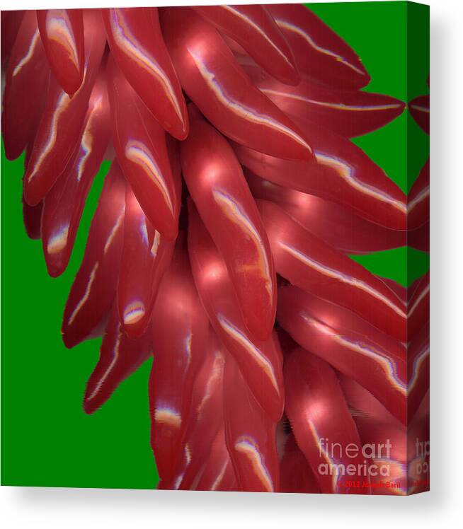 Pepper Canvas Print featuring the photograph Firey Peppers by Joseph Baril