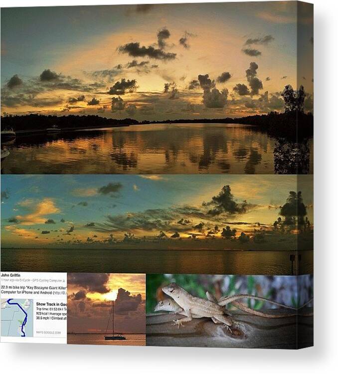  Canvas Print featuring the photograph First Crows, Now Lizards. Yoga Is by Therealbiffa Griffin