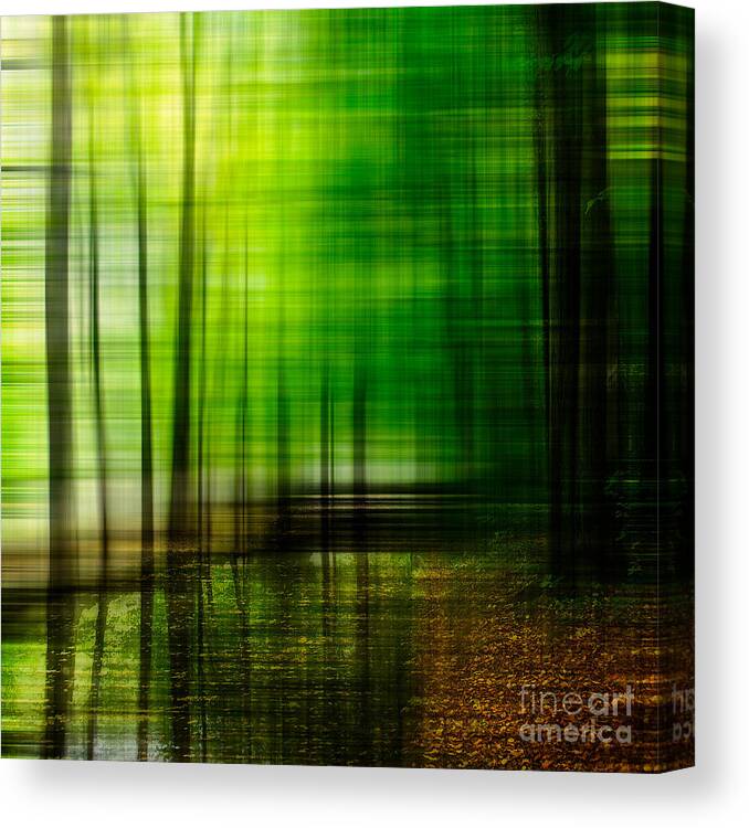 1x1 Canvas Print featuring the photograph First Days In Fall by Hannes Cmarits