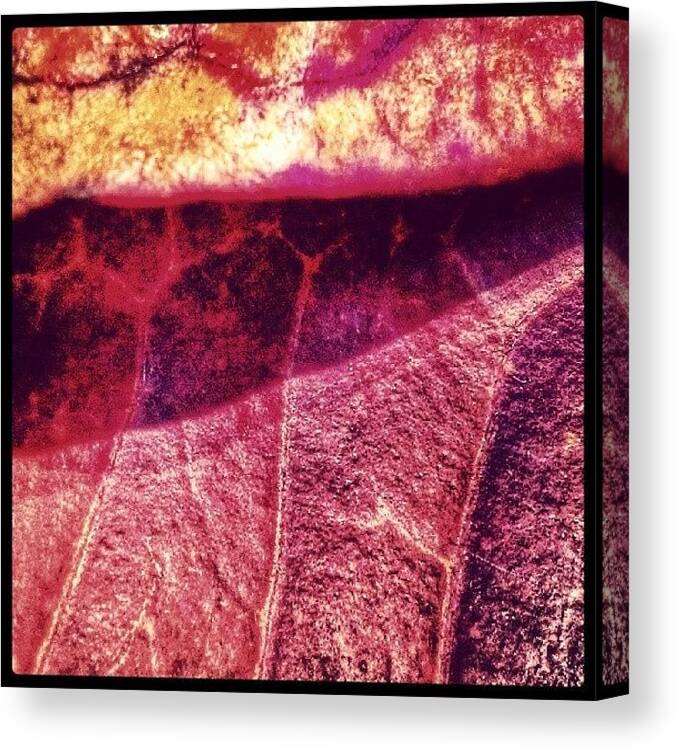 Flora Canvas Print featuring the photograph Flora (still Life With Red Leaves) by Sanz Lashley