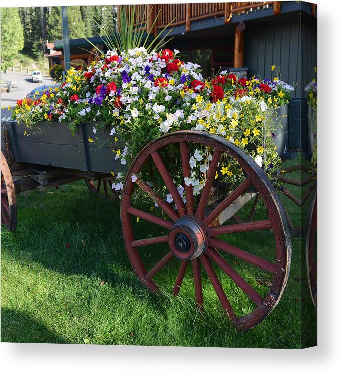 Banff Canvas Print featuring the photograph Flower Cart in Banff Town by Yue Wang