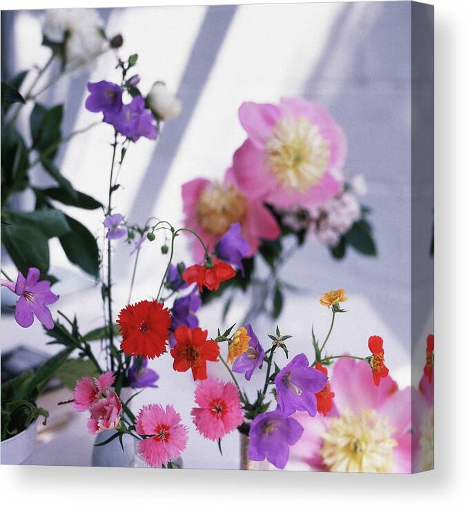 Outdoors Canvas Print featuring the photograph Flowers In Vases by Horst P. Horst