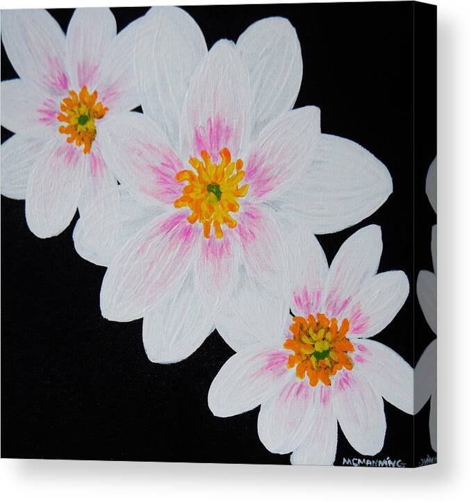 White Flowers Black Background Canvas Print featuring the painting Flowers Of The Night by Celeste Manning