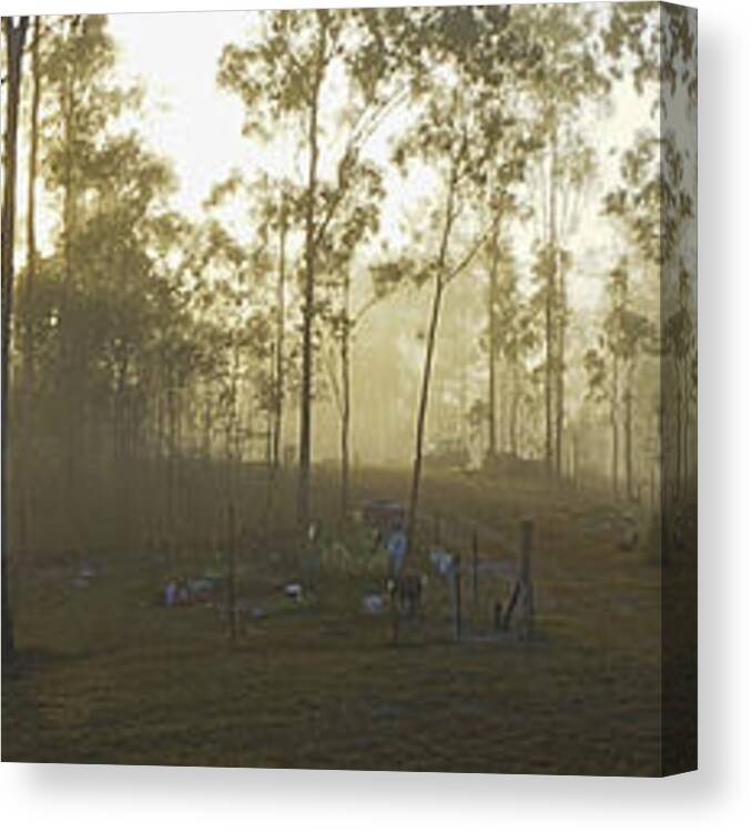 Landscape Canvas Print featuring the photograph Fog at Sunrise by Sheryl Caston