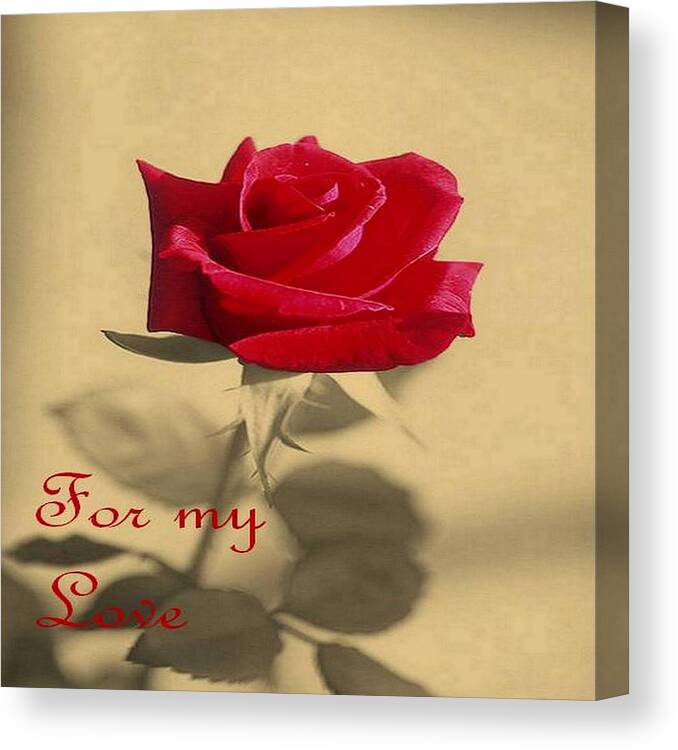 Rose Canvas Print featuring the photograph For My Love Vintage Valentine Greeting by Taiche Acrylic Art