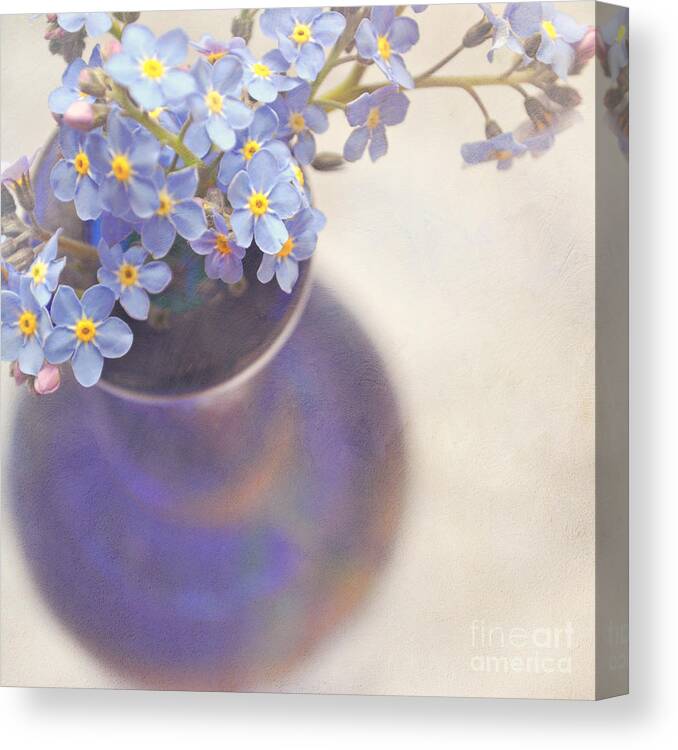 Flowers Canvas Print featuring the photograph Forget me nots in blue vase by Lyn Randle