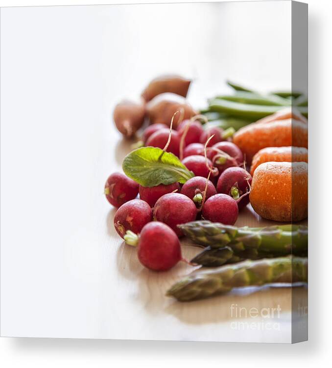 Onion Canvas Print featuring the photograph Fresh garden vegetables by Sophie McAulay