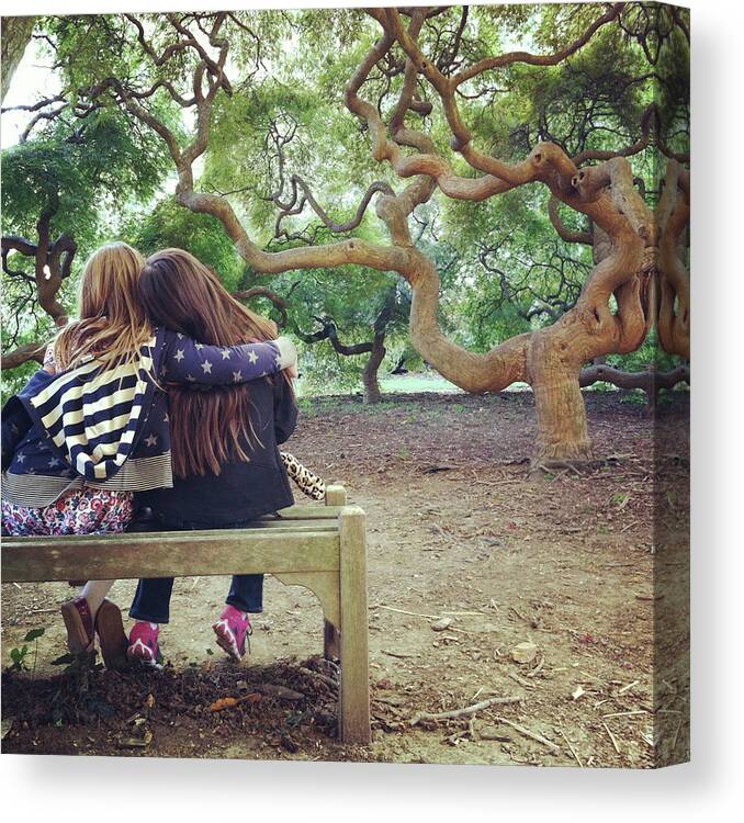 Child Canvas Print featuring the photograph Friends Under Tree Canopy by Cyndi Monaghan