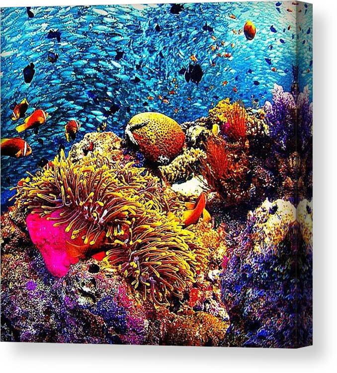 Beautiful Canvas Print featuring the photograph From The Archives: Maldives, October by Nick Lucey
