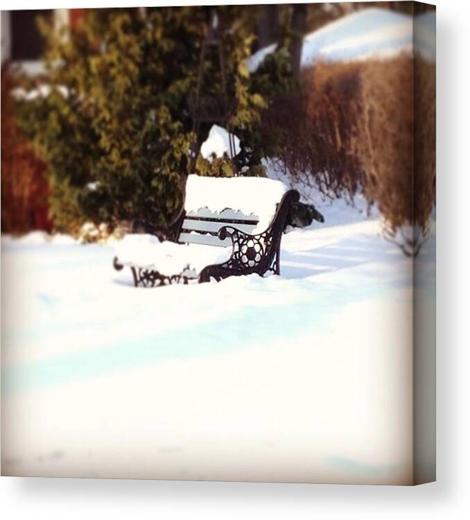  Canvas Print featuring the photograph Frozen Bench by Frank J Casella