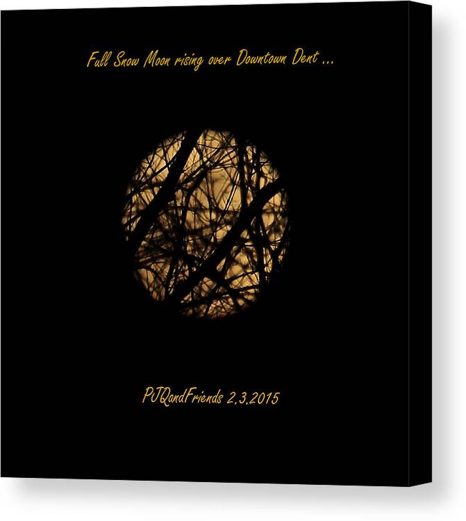 Full Snow Moon 2015 Canvas Print featuring the photograph Full Snow Moon 2015 by PJQandFriends Photography