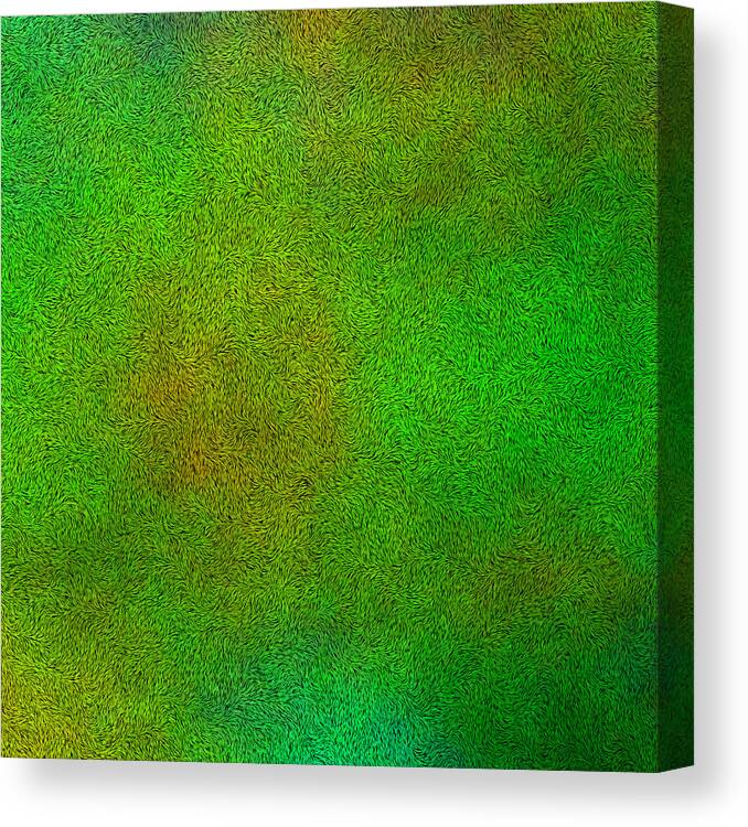 Abstract Canvas Print featuring the photograph Furry Green Texture Background by Valentino Visentini