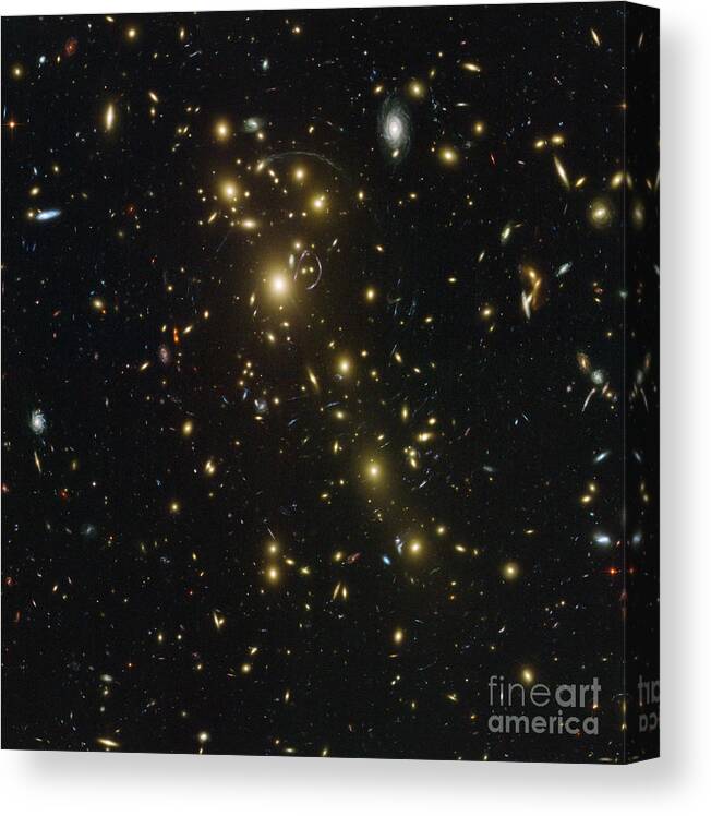 Abell 1703 Canvas Print featuring the photograph Galaxy Cluster Abell 1703 by Science Source