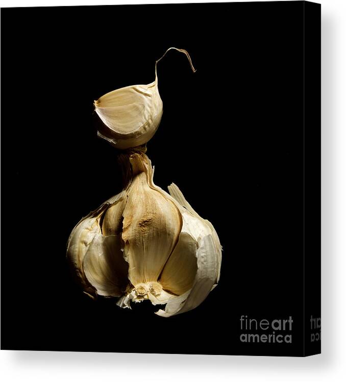 Food And Drink Canvas Print featuring the photograph Garlic by Bernard Jaubert
