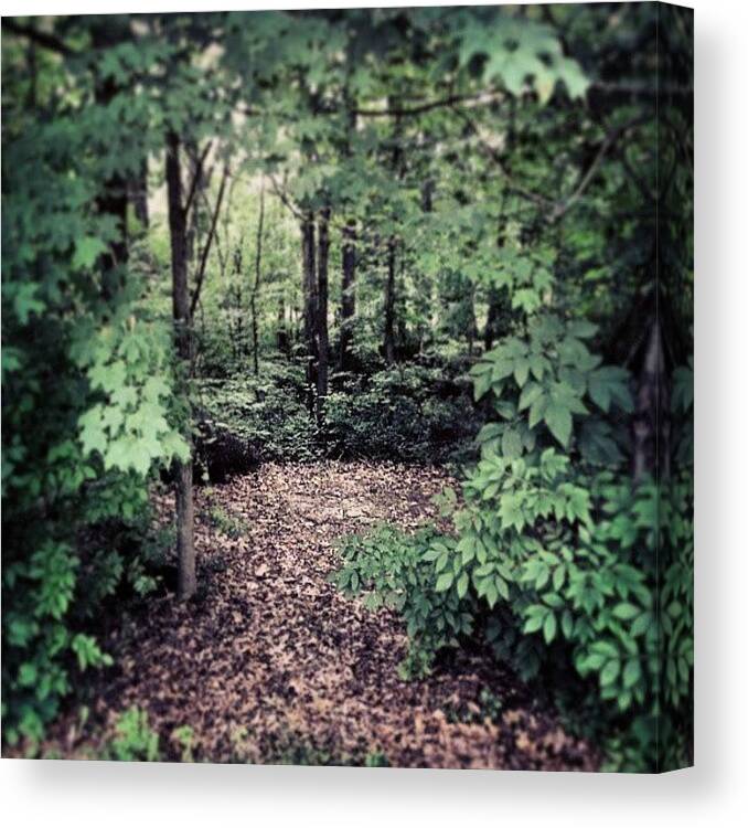 Nature Canvas Print featuring the photograph #gateway To The #unkown. #forest #trees by Chad Schwartzenberger