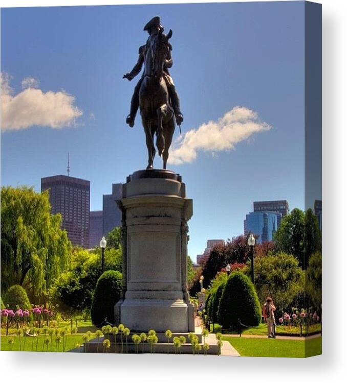 Boston Canvas Print featuring the photograph George Is All Covered Up Now For A by Joann Vitali