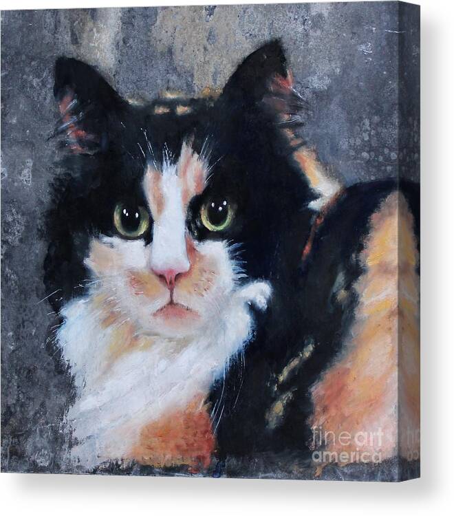 Cat Oil Painting Canvas Print featuring the painting Ginger by Wendy Ray
