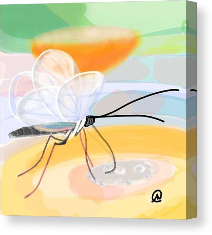 Butterfly Canvas Print featuring the photograph Glass-wing Butterfly ~ Dsf Challenge by Michelle Cronin