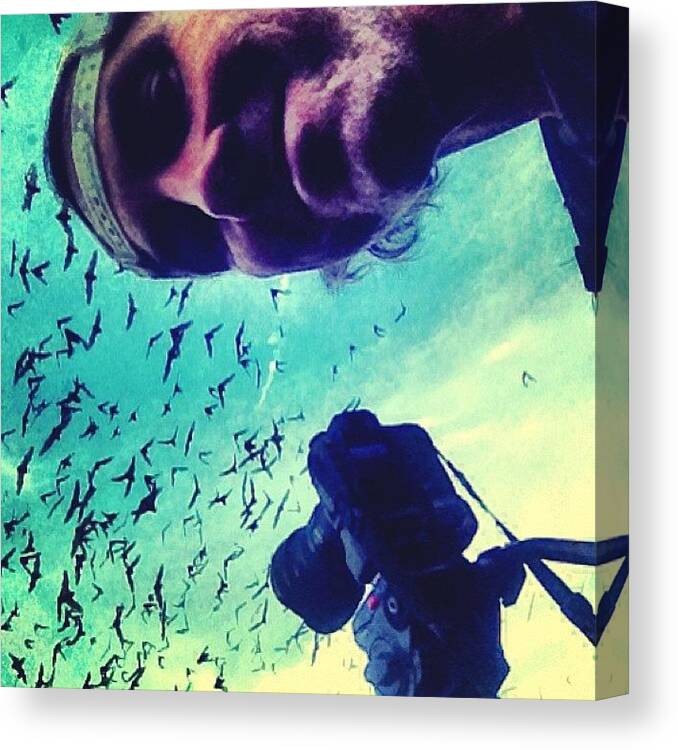 Nicklucey Canvas Print featuring the photograph Going #bat Sh1t #crazy In #texas /// by Nick Lucey