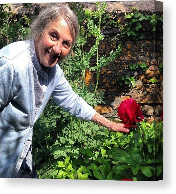 Peonies Canvas Print featuring the photograph #grandma #garden #flowers #peonies by Ann Singer