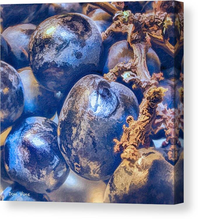 Digital Paint Canvas Print featuring the photograph Grapes of Black by Don Vine