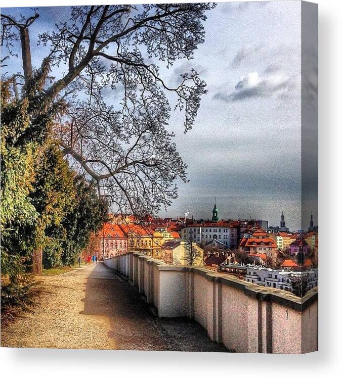 Europe Canvas Print featuring the photograph #grebovka #park #havlíčkovy #sady by Aida Sheikholeslami
