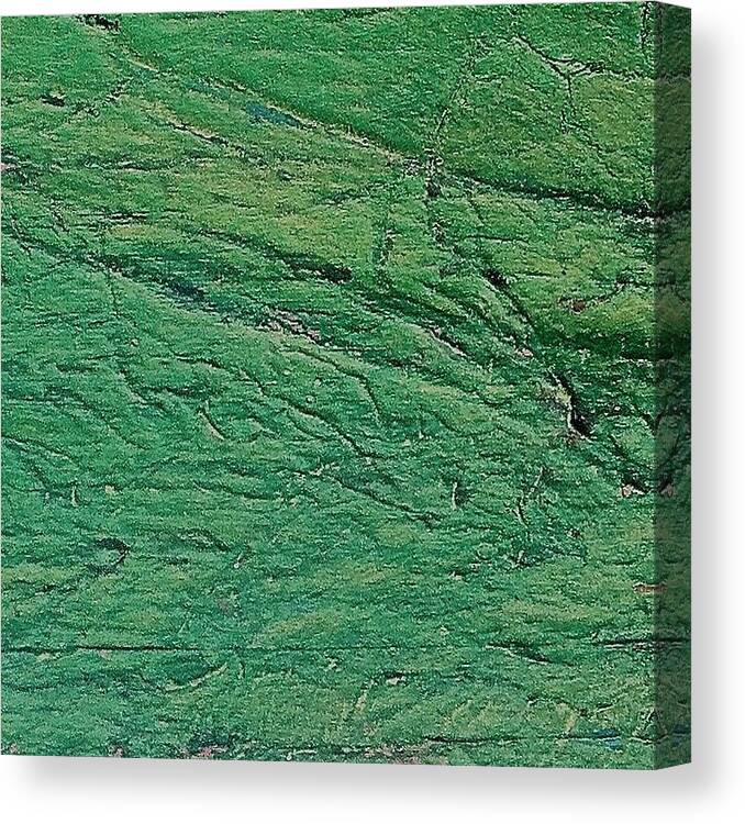 Acrylic Canvas Print featuring the photograph Green Abstract by Debbi Dieterich