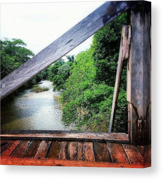 Bridge Canvas Print featuring the photograph Green Valley. #nature #water #river by Stenio Nunes