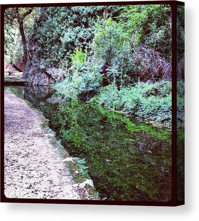 Zaragoza Canvas Print featuring the photograph Green water by Ana V