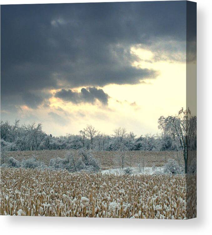 Winter Canvas Print featuring the photograph Grey clouds by Douglas Pike