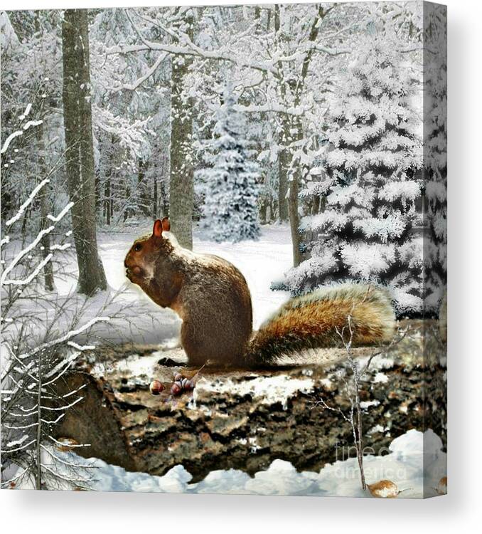 Squirrel Canvas Print featuring the mixed media Harry in Winter 2 by Morag Bates