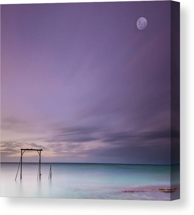 Scenics Canvas Print featuring the photograph Heron Island Gantry by Bruce Hood