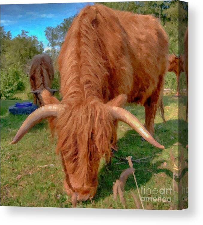 Alone Canvas Print featuring the painting Highland Cow Painting by Antony McAulay