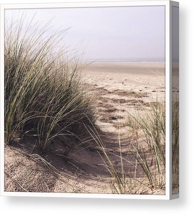Norfolk Canvas Print featuring the photograph #hipstamatic #yuЯi61 #blanko by Vykintas Stolys