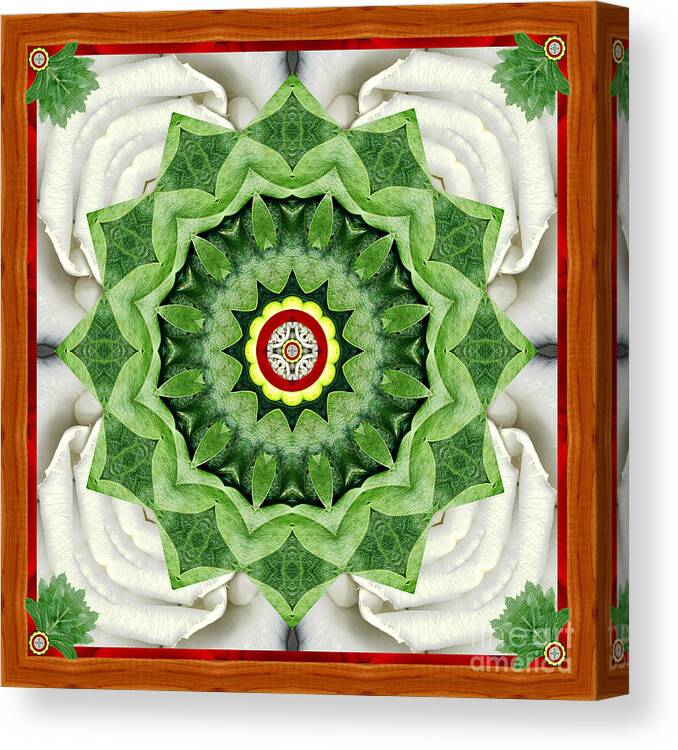 Mandalas Canvas Print featuring the photograph Holy Days by Bell And Todd