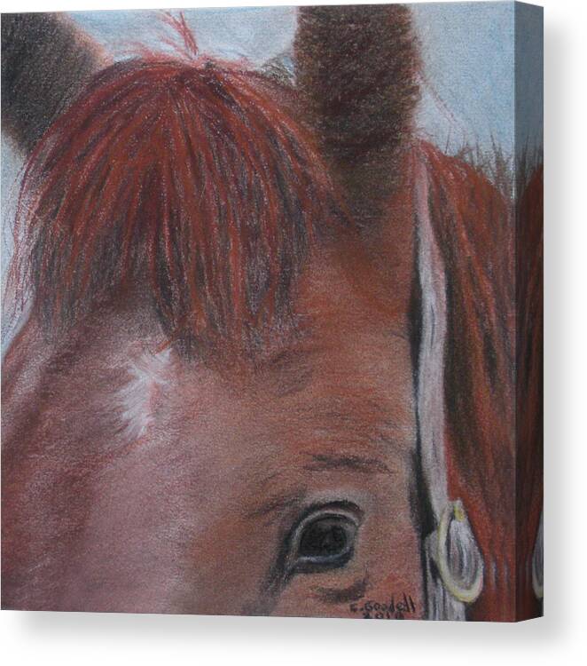 Horse Canvas Print featuring the painting Horsin' Round a Bit by Claudia Goodell