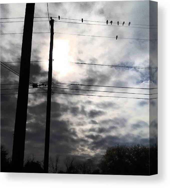 Beautiful Canvas Print featuring the photograph I Could Never Get A Pic With The Birds by Brandon Fisher