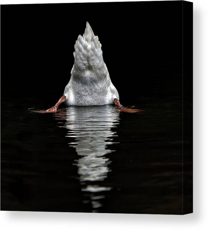 Humour Canvas Print featuring the photograph I Don't Like Photographers ! by Piet Flour