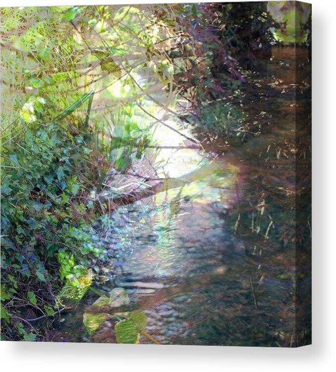 Water Canvas Print featuring the photograph I Think Fairys Live In The Stream By My by Kirsten Large