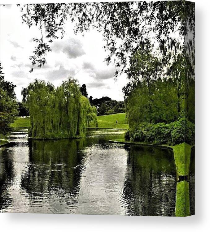 Netherlands Canvas Print featuring the photograph I Wished The Sky Was Blue.. 😉 #park by Vincent Richard